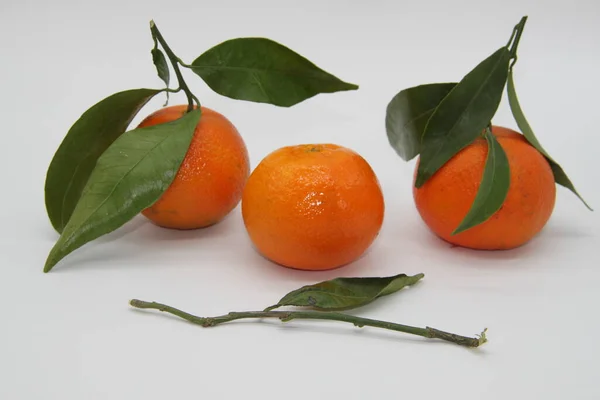 Orangene Mandarinen Mit Grünen Blättern Auf Weißem Hintergrund Gesunde Ernährung — Stockfoto