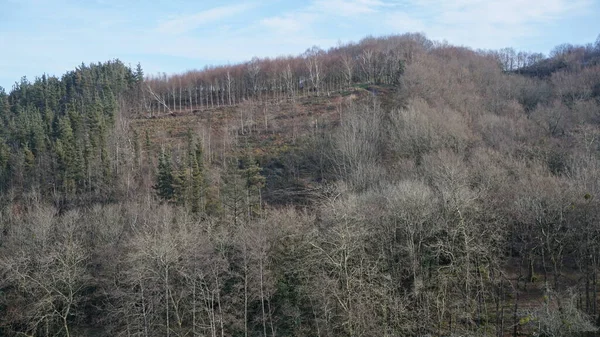 Naturlandschaft Winter Auf Dem Berg Adarra Baskenland — Stockfoto