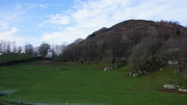 Paysage Naturel Hiver Sur Mont Adarra Pays Basque — Photo