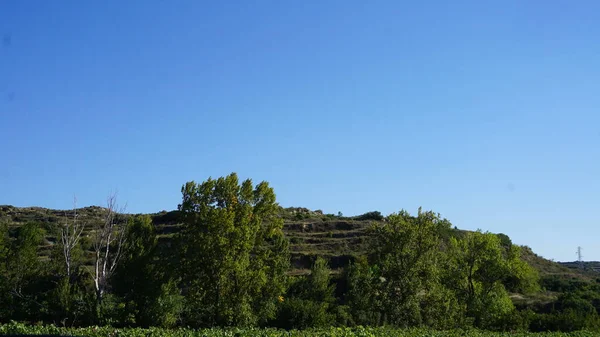 Paisaje Viñedos Viñedos Para Elaborar Vino Rioja Alavesa País Vasco — Foto de Stock