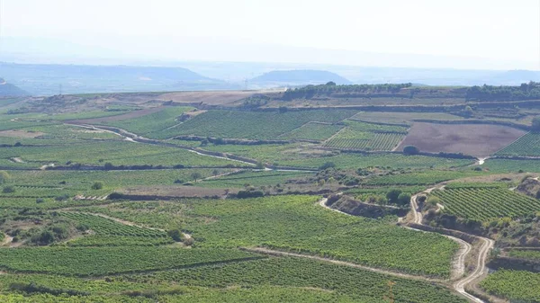 Landschaft Von Weinbergen Und Weinbergen Zur Herstellung Von Wein Rioja — Stockfoto