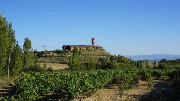 Krajina Vinic Vinic Výrobu Vína Rioja Alavesa Baskicku Španělsko — Stock fotografie