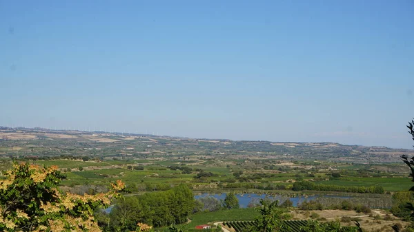 Paisaje Viñedos Viñedos Para Elaborar Vino Rioja Alavesa País Vasco —  Fotos de Stock