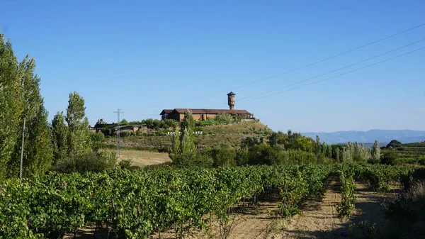 Tájkép Szőlőültetvények Szőlőültetvények Hogy Bort Rioja Alavesa Baszkföldön Spanyolország — Stock Fotó