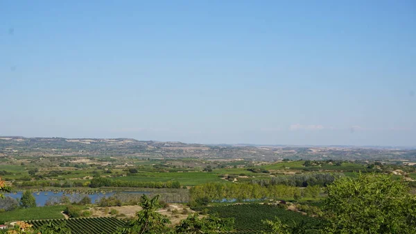 Landskap Vingårdar Och Vingårdar För Att Göra Vin Rioja Alavesa — Stockfoto