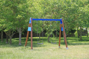 Mendoza, Alaba, Bask Ülkesi, İspanya 'da yeşil çimenler ve yeşil yapraklı ağaçlarla dolu bir parkta sallanmak.