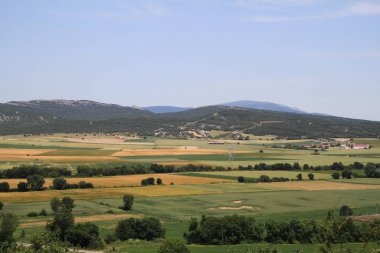 Mendoza, Alaba, Pais Vasco, İspanya kilisesinden kırsal tahıl tarlalarının manzarası