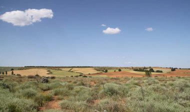 İspanya, Castilla Leon 'da bahar sonunda farklı renklerde tahıl tarlaları