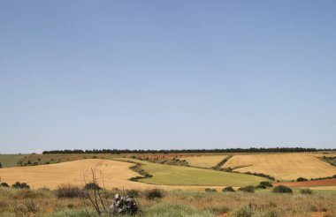 İspanya, Castilla Leon 'da bahar sonunda farklı renklerde tahıl tarlaları