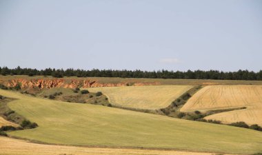 İspanya, Castilla Leon 'da bahar sonunda farklı renklerde tahıl tarlaları