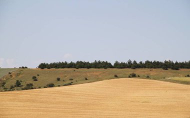 İspanya, Castilla Leon 'da bahar sonunda farklı renklerde tahıl tarlaları
