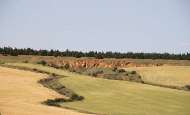 İspanya, Castilla Leon 'da bahar sonunda farklı renklerde tahıl tarlaları