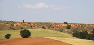 İspanya, Castilla Leon 'da bahar sonunda farklı renklerde tahıl tarlaları