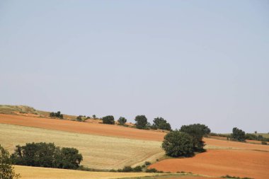 İspanya, Castilla Leon 'da bahar sonunda farklı renklerde tahıl tarlaları