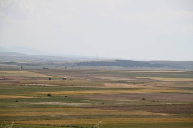 İspanya, Castilla Leon 'da bahar sonunda farklı renklerde tahıl tarlaları