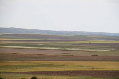 İspanya, Castilla Leon 'da bahar sonunda farklı renklerde tahıl tarlaları