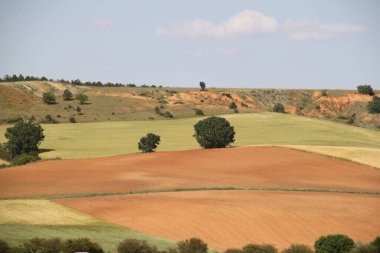 İspanya, Castilla Leon 'da bahar sonunda farklı renklerde tahıl tarlaları