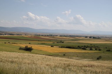 İspanya, Castilla Leon 'da bahar sonunda farklı renklerde tahıl tarlaları