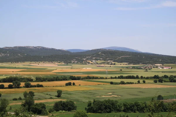 Zicht Landelijke Graanvelden Vanuit Kerk Van Mendoza Alaba Pais Vasco — Stockfoto