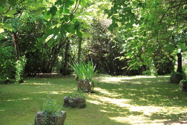 Jardin Sombre Côté Église Ville Mendoza Alaba Pays Basque Espagne — Photo