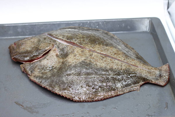turbot prepared on a tray to cook in the oven