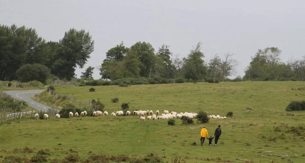 Hiking Mount Jaizkibel Basque Country Cloudy Summer Day Part Santiago — стокове фото