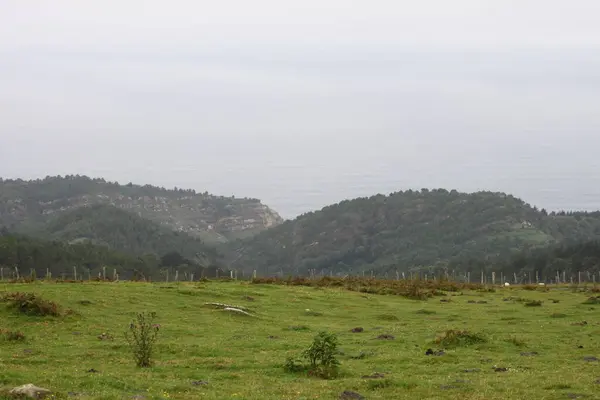 Landschaft Auf Dem Jaizkibel Baskenland Einem Bewölkten Sommertag — Stockfoto