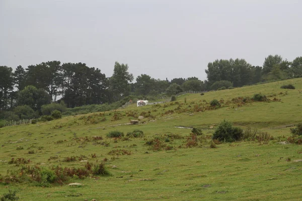 Motorhome Traveling Mount Jaizkibel Basque Country Cloudy Summer Day Part — Stock Fotó