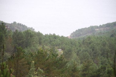 mountain landscape and nature on Mount Jaizkibel, in the Basque Country, in Spain