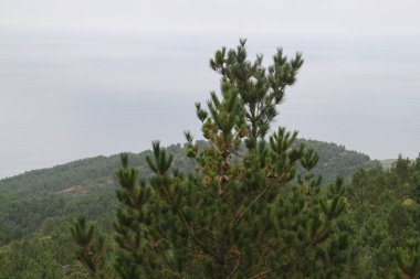 mountain landscape and nature on Mount Jaizkibel, in the Basque Country, in Spain