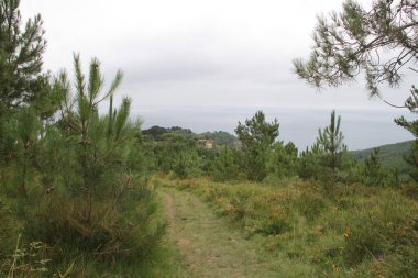 mountain landscape and nature on Mount Jaizkibel, in the Basque Country, in Spain