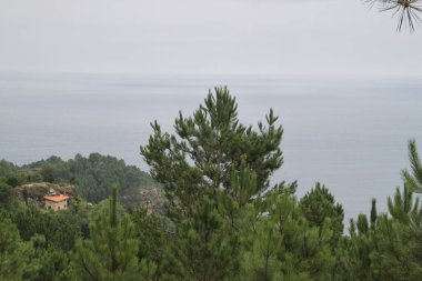mountain landscape and nature on Mount Jaizkibel, in the Basque Country, in Spain