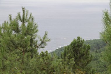 mountain landscape and nature on Mount Jaizkibel, in the Basque Country, in Spain
