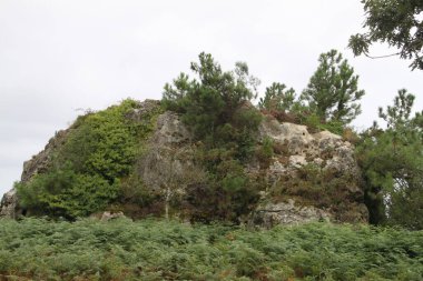 mountain landscape and nature on Mount Jaizkibel, in the Basque Country, in Spain
