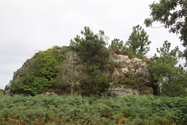 mountain landscape and nature on Mount Jaizkibel, in the Basque Country, in Spain