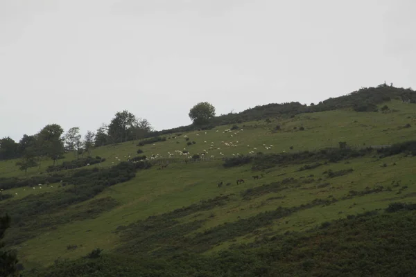 Paisaje Montaña Naturaleza Monte Jaizkibel País Vasco España —  Fotos de Stock