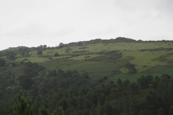 Mountain Landscape Nature Mount Jaizkibel Basque Country Spain — стокове фото