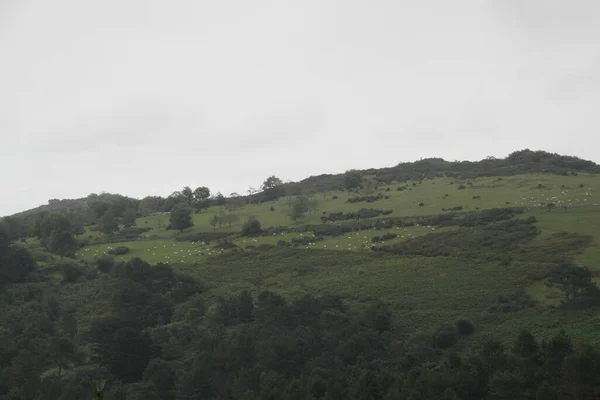 Mountain Landscape Nature Mount Jaizkibel Basque Country Spain — Fotografia de Stock