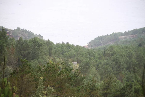 Mountain Landscape Nature Mount Jaizkibel Basque Country Spain — Stockfoto