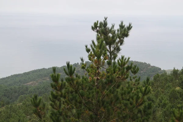 mountain landscape and nature on Mount Jaizkibel, in the Basque Country, in Spain