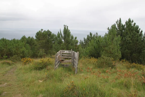 Old Wooden Hut Hunting Post Mount Jaizkibel Basque Country Spain — Stockfoto