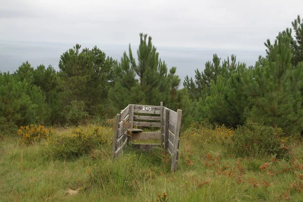 Alte Holzhütte Eines Jagdpostens Auf Dem Berg Jaizkibel Baskenland Spanien — Stockfoto