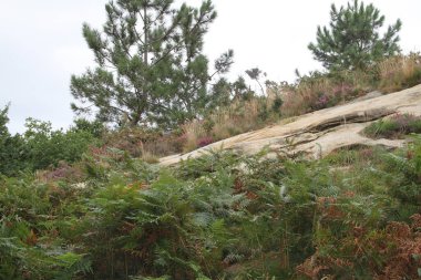 Gipuzkoa 'daki Jaizkibel Dağı' ndaki dağ manzarası, Bask Ülkesi, İspanya
