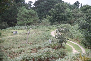 Gipuzkoa 'daki Jaizkibel Dağı' ndaki dağ manzarası, Bask Ülkesi, İspanya