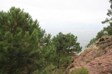 Gipuzkoa 'daki Jaizkibel Dağı' ndaki dağ manzarası, Bask Ülkesi, İspanya