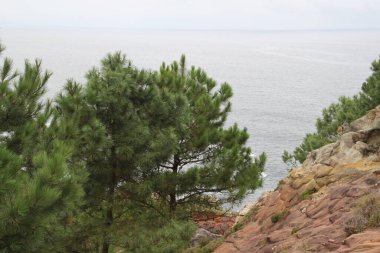 Gipuzkoa 'daki Jaizkibel Dağı' ndaki dağ manzarası, Bask Ülkesi, İspanya