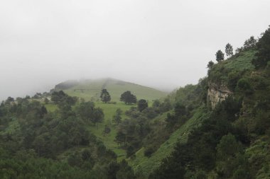 Gipuzkoa 'daki Jaizkibel Dağı' ndaki dağ manzarası, Bask Ülkesi, İspanya