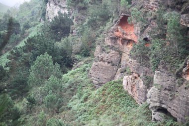 Gipuzkoa 'daki Jaizkibel Dağı' ndaki dağ manzarası, Bask Ülkesi, İspanya