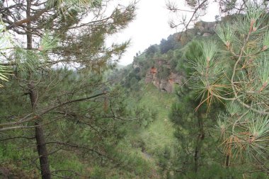 Gipuzkoa 'daki Jaizkibel Dağı' ndaki dağ manzarası, Bask Ülkesi, İspanya