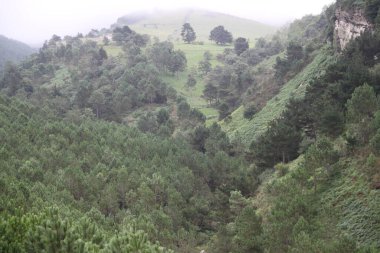Gipuzkoa 'daki Jaizkibel Dağı' ndaki dağ manzarası, Bask Ülkesi, İspanya